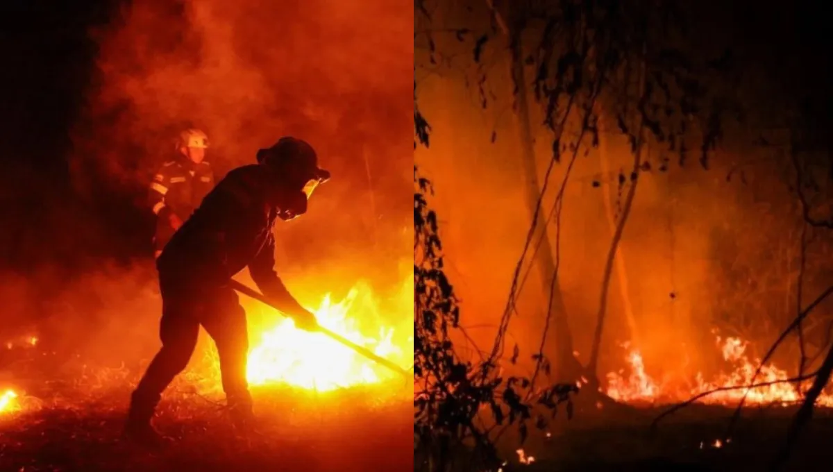 Incendios forestales mantienen en alerta a varios municipios del Tolima. Desde el aire: así quedó Tolima tras los incendios que afectaron el departamento