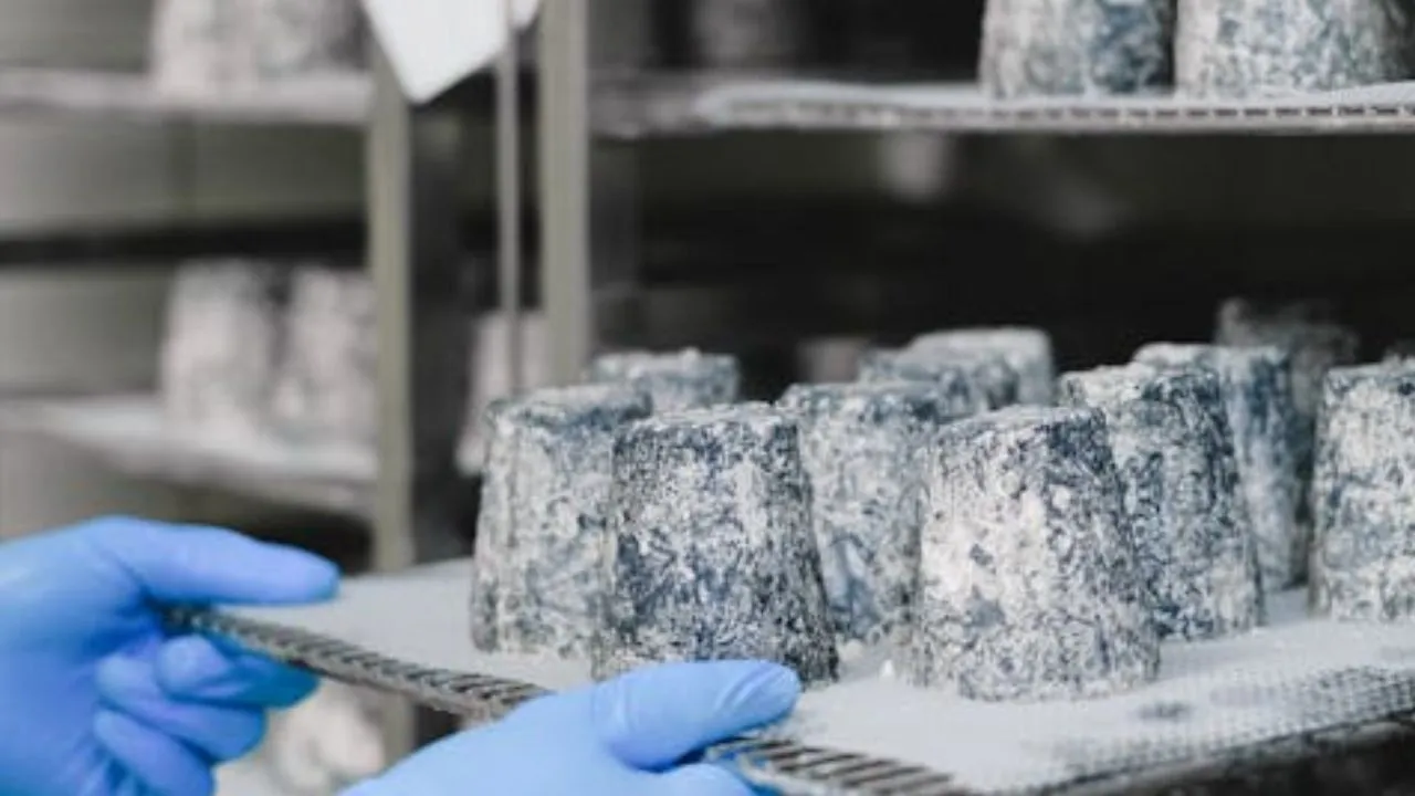 Industria plástica impulsa el crecimiento: mercado nacional se acerca a los 35 billones de pesos en 2025 Industria plástica impulsa el crecimiento: mercado nacional se acerca a los 35 billones de pesos en 2025