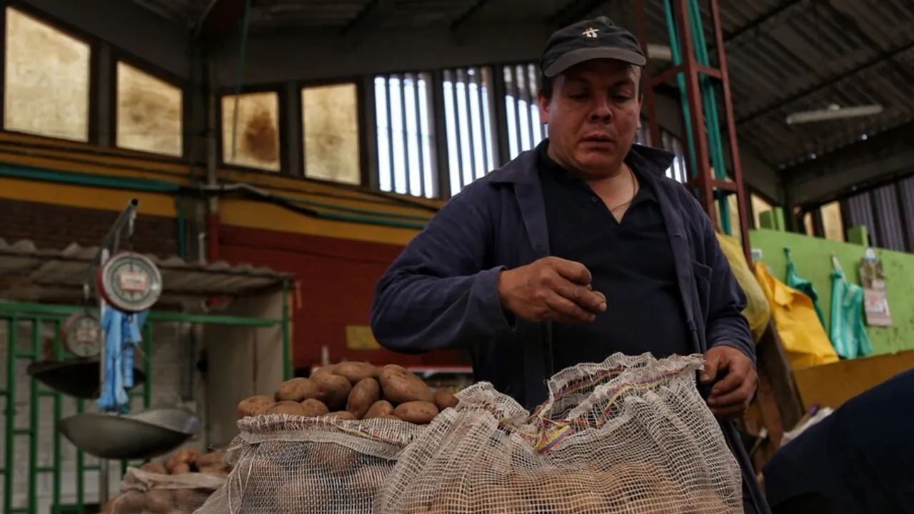 La inflación en octubre llegó otra vez a 5,4 %: ¿Si sube como palma, algún día bajará? La inflación en octubre llegó otra vez a 5,4 %: ¿Si sube como palma, algún día bajará?