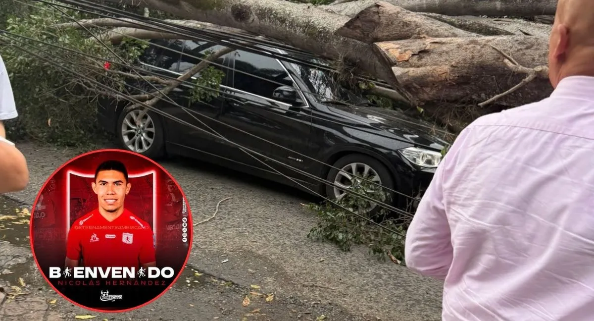 Imagen de la noticia