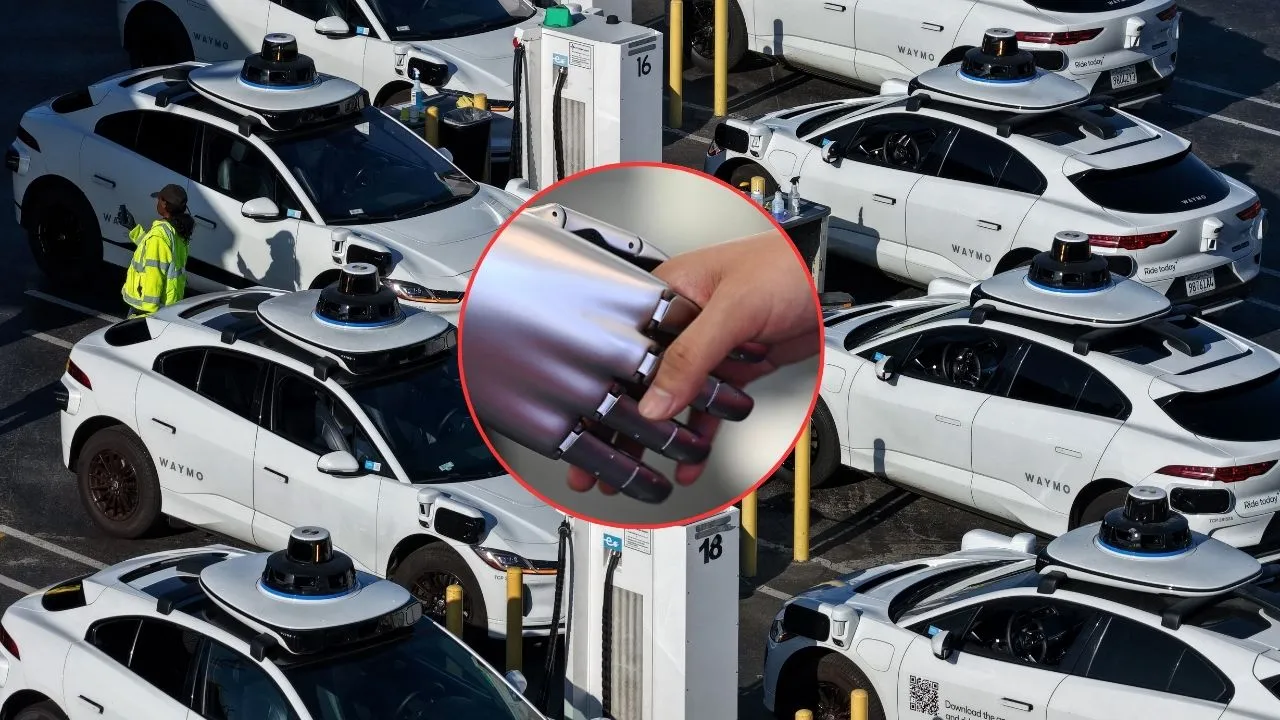 Imagen de la noticia