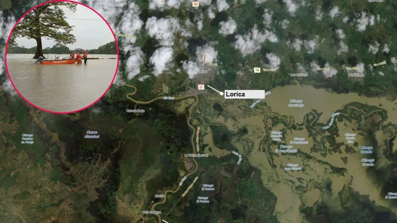 Imagen de la noticia