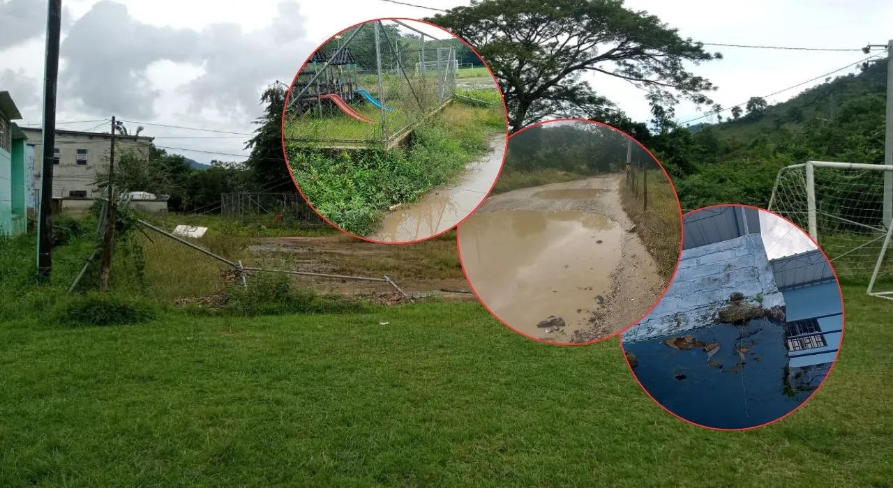 Las imágenes del abandono Investigación | Un corregimiento de Segovia, Antioquia, estaría en abandono