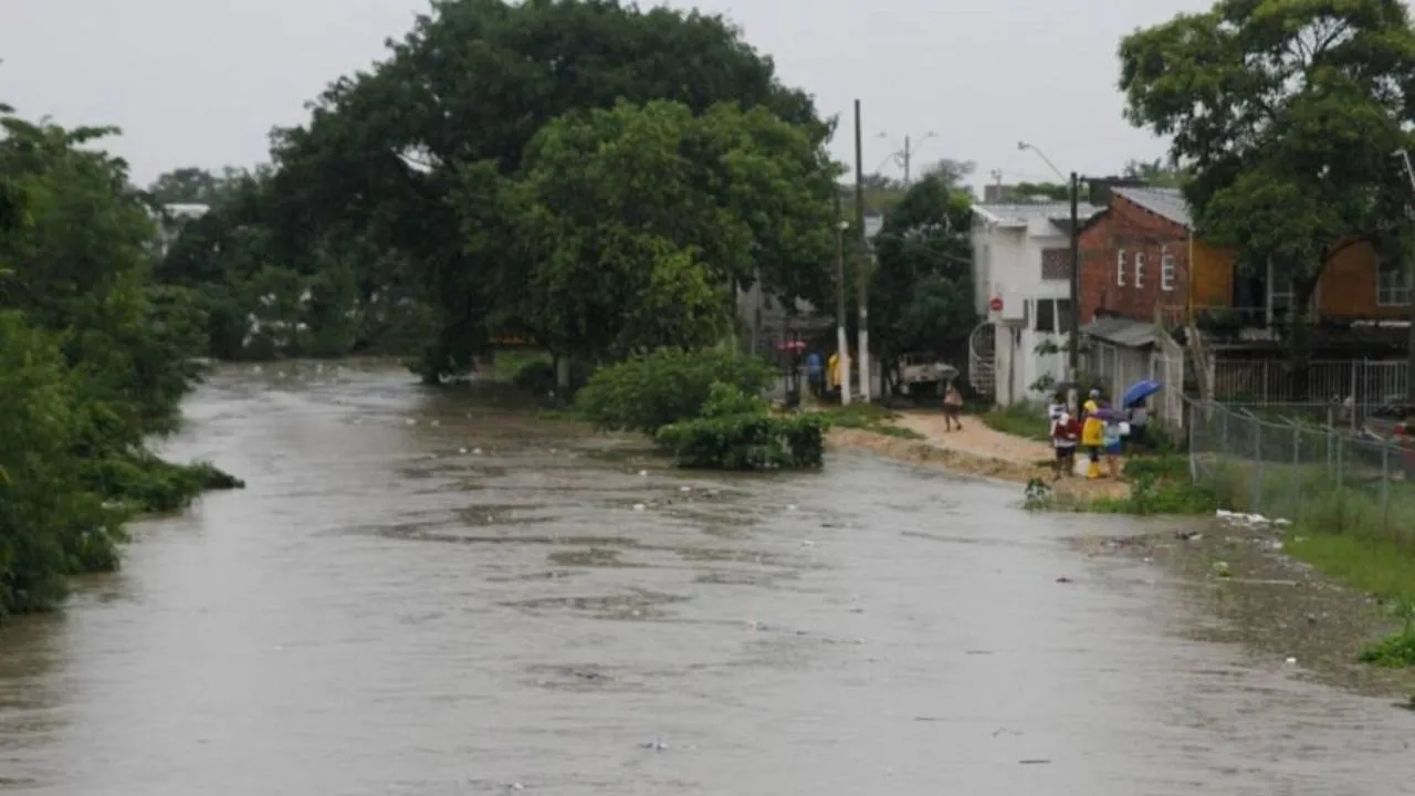 Imagen de la noticia