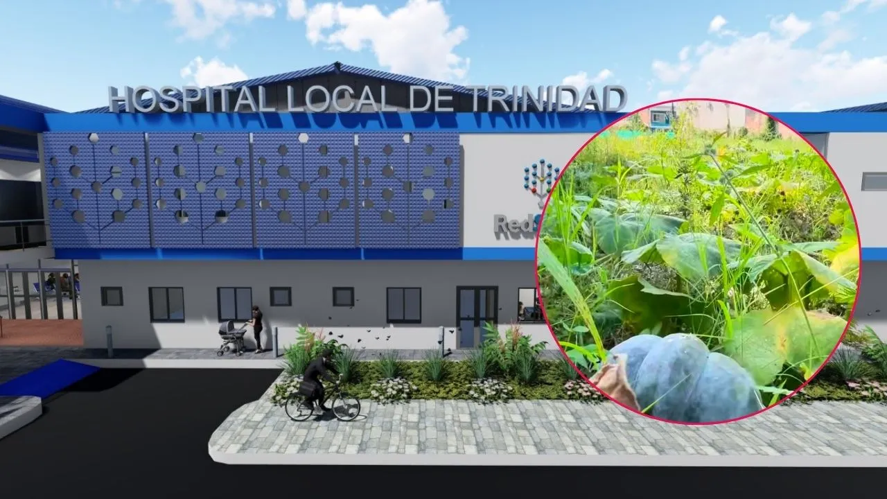 Lo que pretendía ser un hospital ‘Elefante blanco’ en Casanare: no hubo hospital, sino un cultivo de auyama