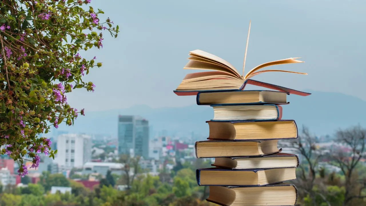 Imagen de la noticia