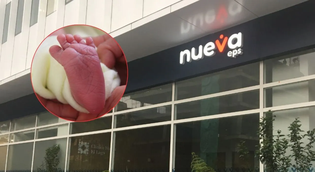 Imagen de la noticia