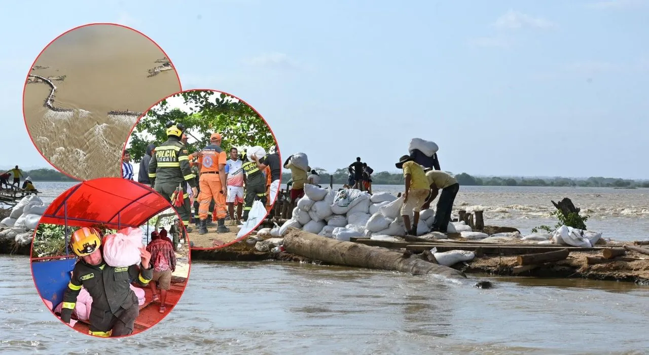 Imagen de la noticia