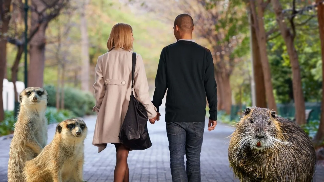 Escala de fidelidad: ¿cuál es el mamífero más promiscuo y en qué puesto está el hombre?