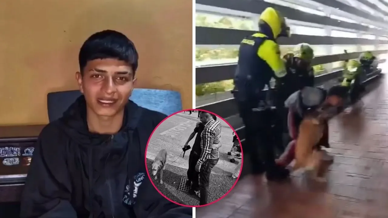 Músico callejero que fue arrestado en La Colina fue sorprendido por Jhon Álex Castaño Músico callejero y su perrita Delta recibieron inesperada sorpresa de Jhon Alex Castaño