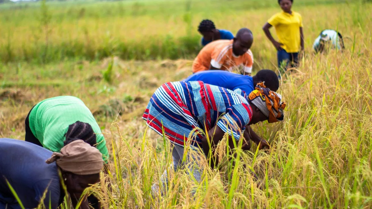 Nace Raíces Futuras, el programa que impulsa el liderazgo y el emprendimiento en zonas rurales Nace Raíces Futuras, el programa que impulsa el liderazgo y el emprendimiento en zonas rurales
