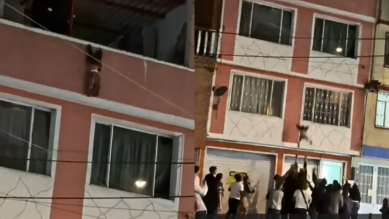 Imagen de la noticia