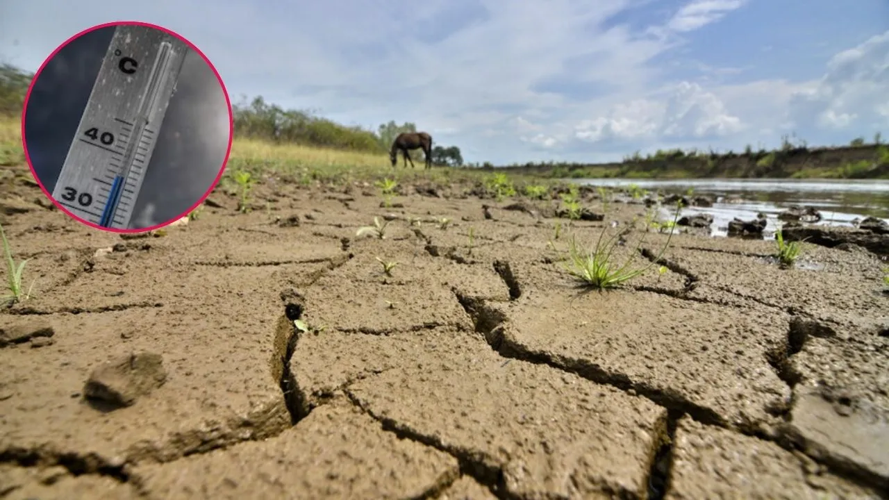 Ola de calor extrema golpea al mundo en esta temporada. Ola de calor en el mundo: alerta por fallecimientos y temperaturas extremas