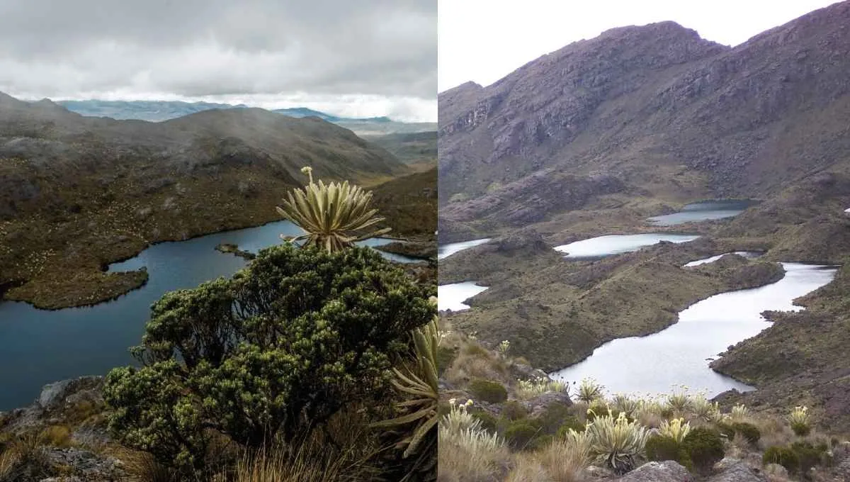 Páramo de Santurbán, reserva estratégica de agua y biodiversidad. ¿Vuelve la minería a Santurbán? La decisión de MinAmbiente sobre la quebrada La Baja