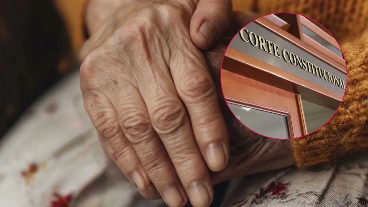 Pareja de abuelos es protegida por la Corte Constitucional Un canasto le cambió la vida a una pareja de abuelos y sus vecinos querían perjudicarla