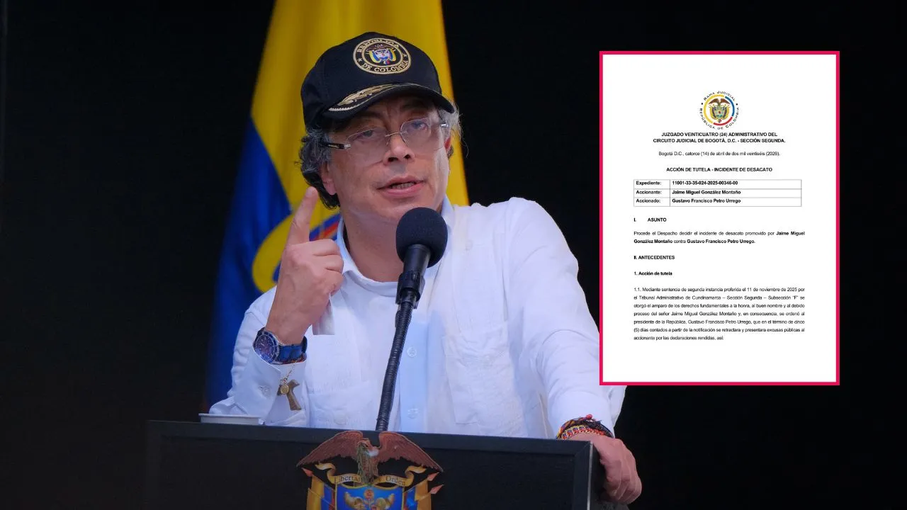 Imagen de la noticia