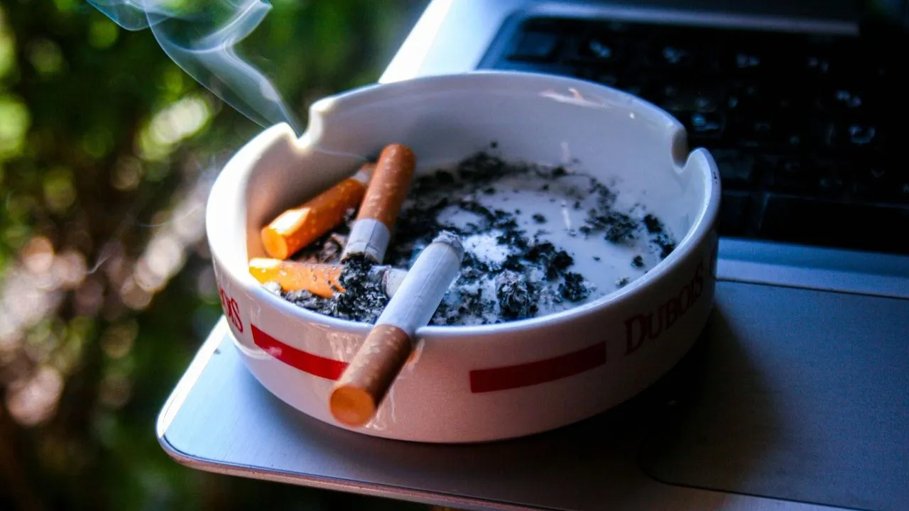 Imagen de la noticia