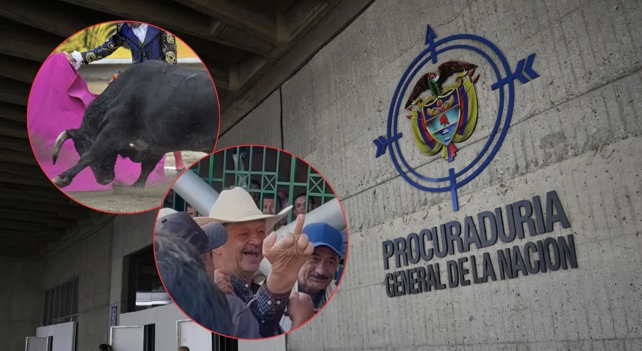 Imagen de la noticia