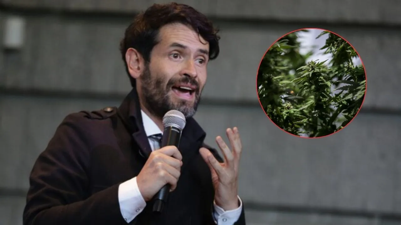Radicaron proyecto que busca legalizar la compra y venta del cannabis Imagen principal