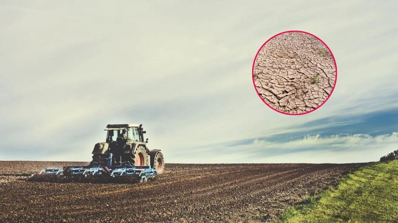 Subsidios por Fenómeno de El Niño Subsidios para seguro agropecuario llegarán a $ 67.272 millones ante amenaza de El Niño