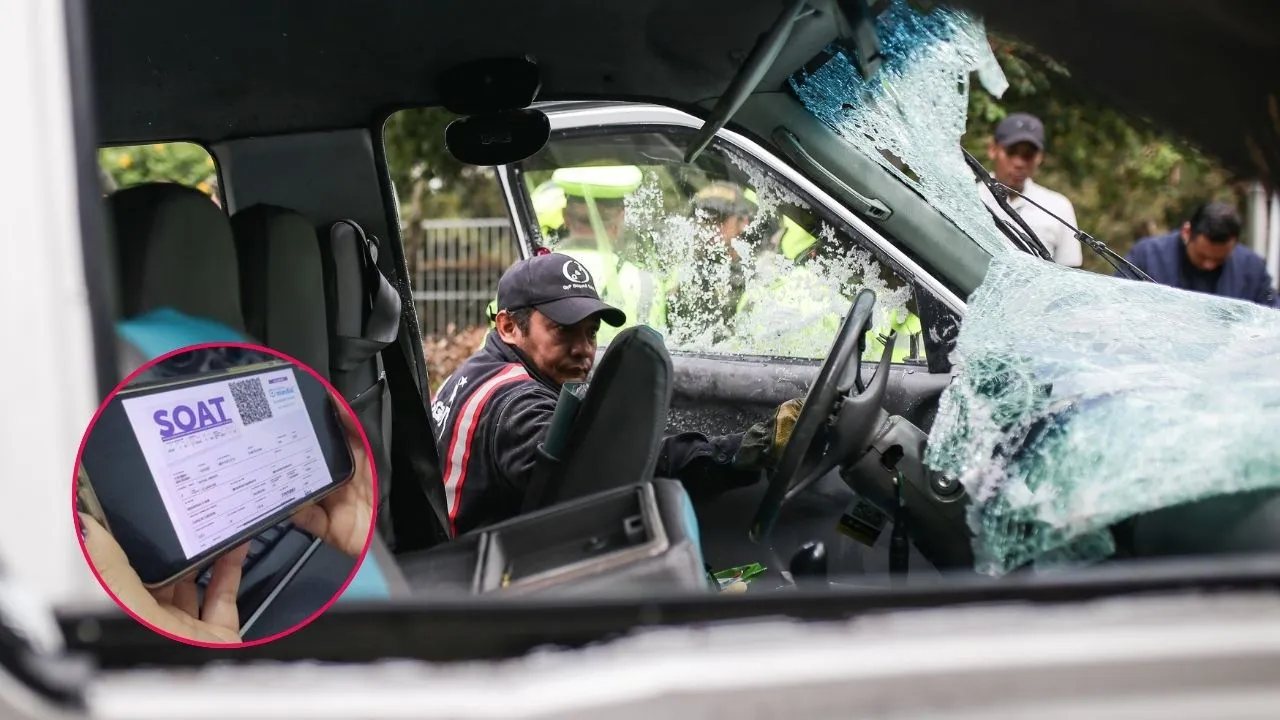 Imagen de la noticia