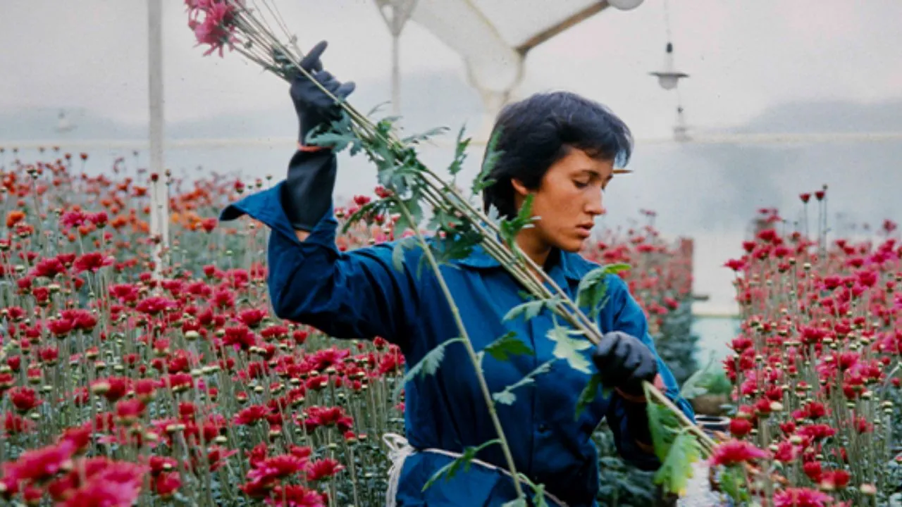 Imagen de la noticia