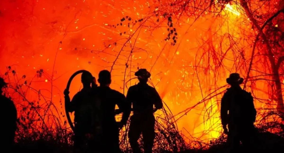 Tolima ardiendo Entrevista | Incendios en Tolima: "Colombia está años atrás en la prevención y manejo del fuego"