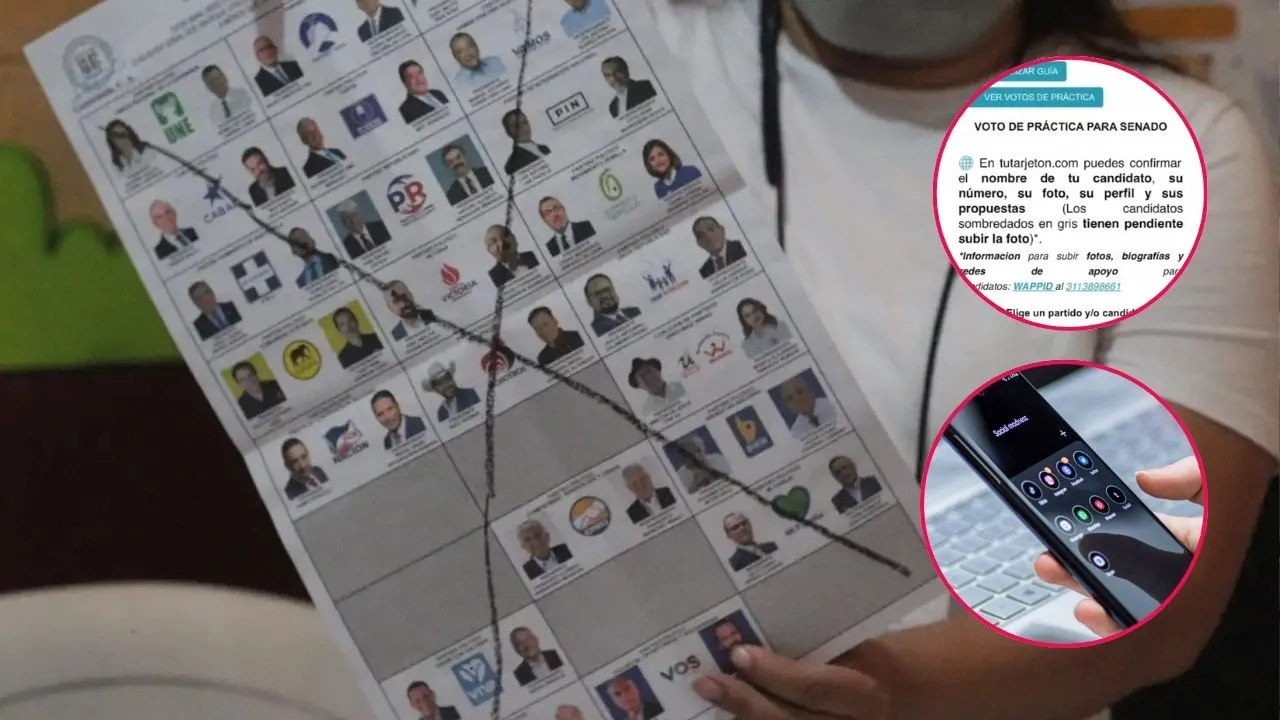 Imagen de la noticia