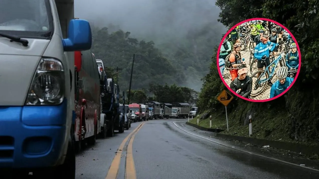 Imagen de la noticia