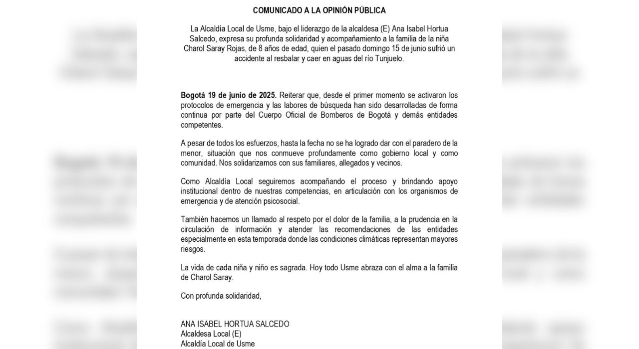 Imagen subida