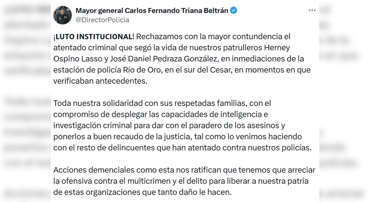 Imagen subida